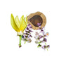 Aroma Fusions Essential Oil Blends wholesale